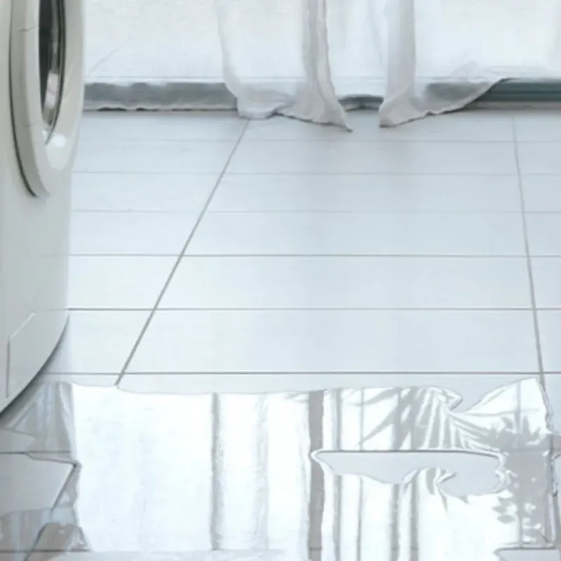 Appliance Leak Cleanup in Harrogate, TN