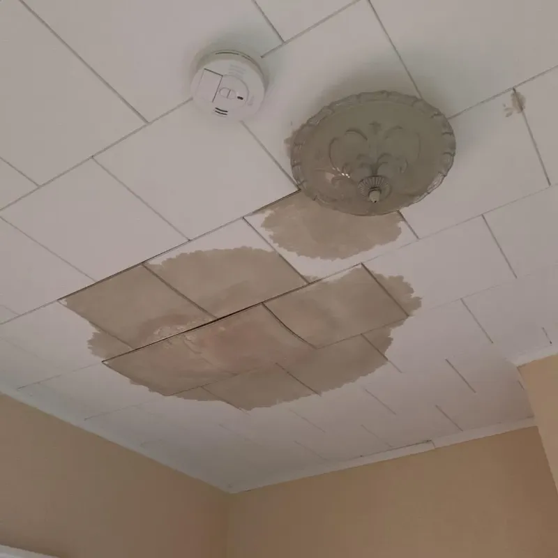 Ceiling Water Damage Repair in Harrogate, TN