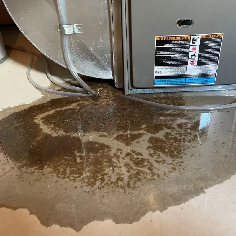 Pipe Burst and Leak Restoration in Harrogate, TN