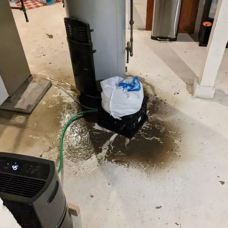 Sewage Backup Cleanup Service in Harrogate, TN